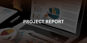 Project Report